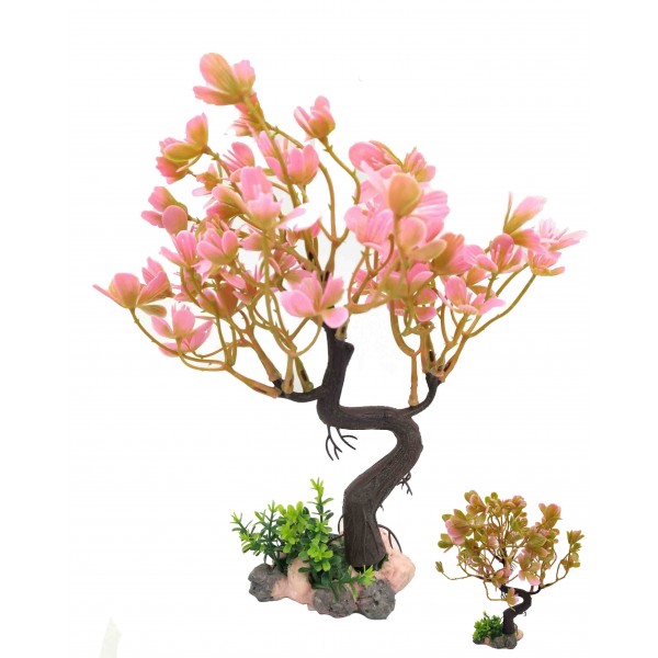 ΔΙΑΚΟΣΜΗΤΙΚΟ ΦΥΤΟ ΕΝΥΔΡΕΙΟΥ